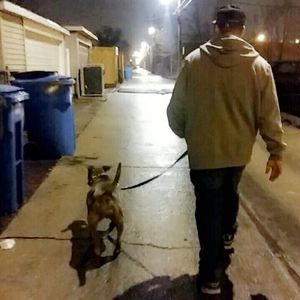 Meet your Posher, Derek